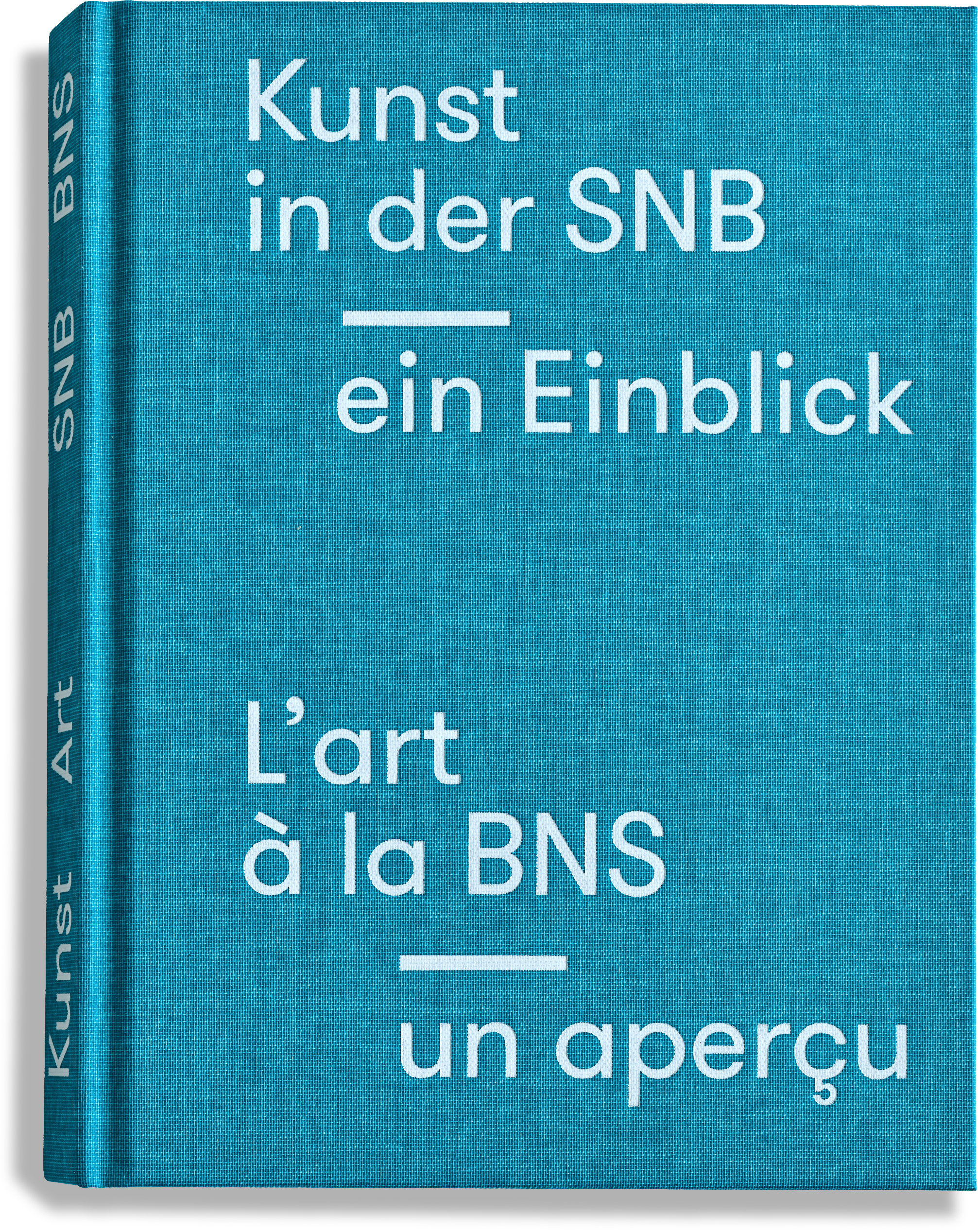 kunst in der snb